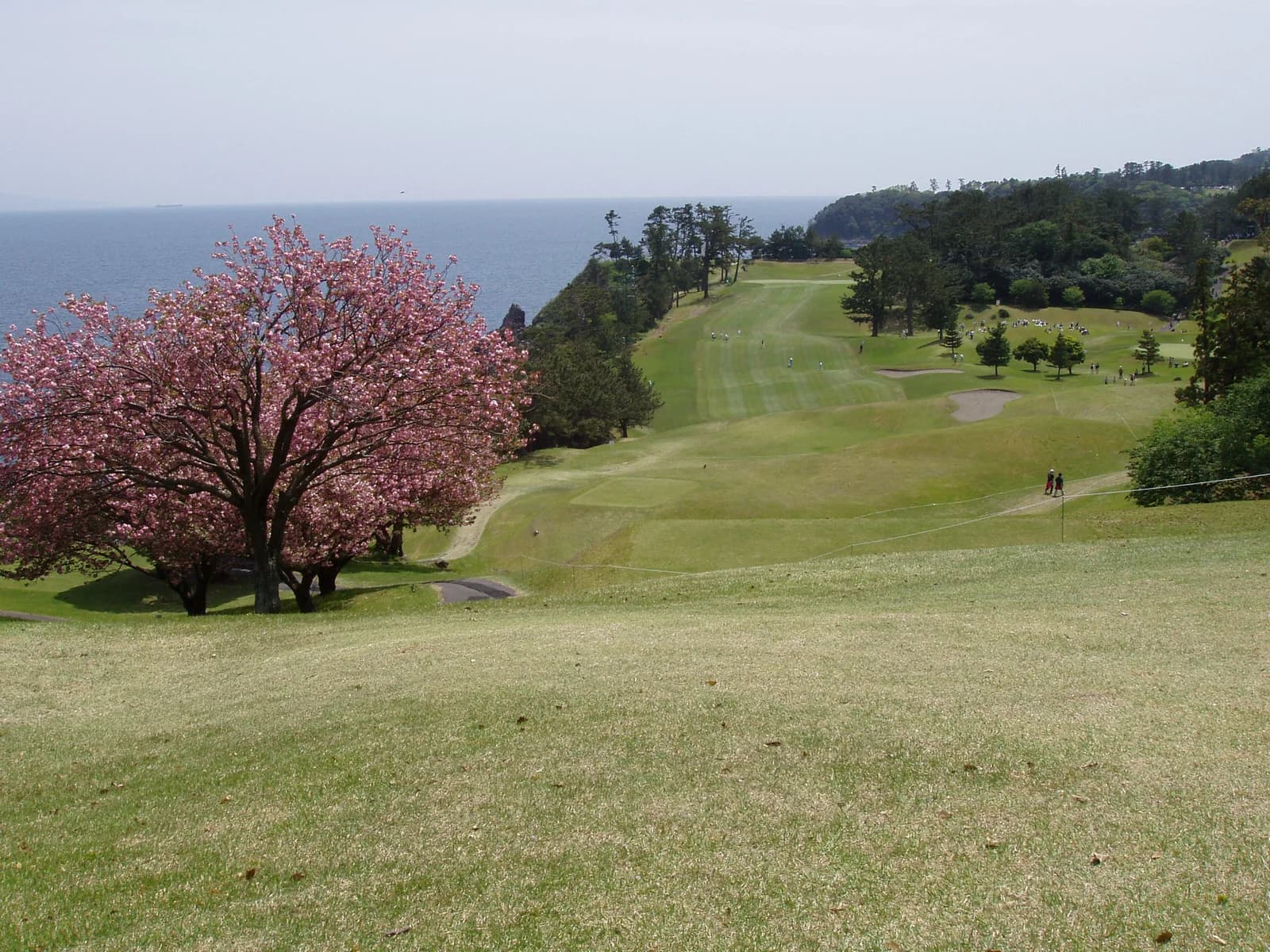 The Kawana Hotel golf course on the Izu Peninsula