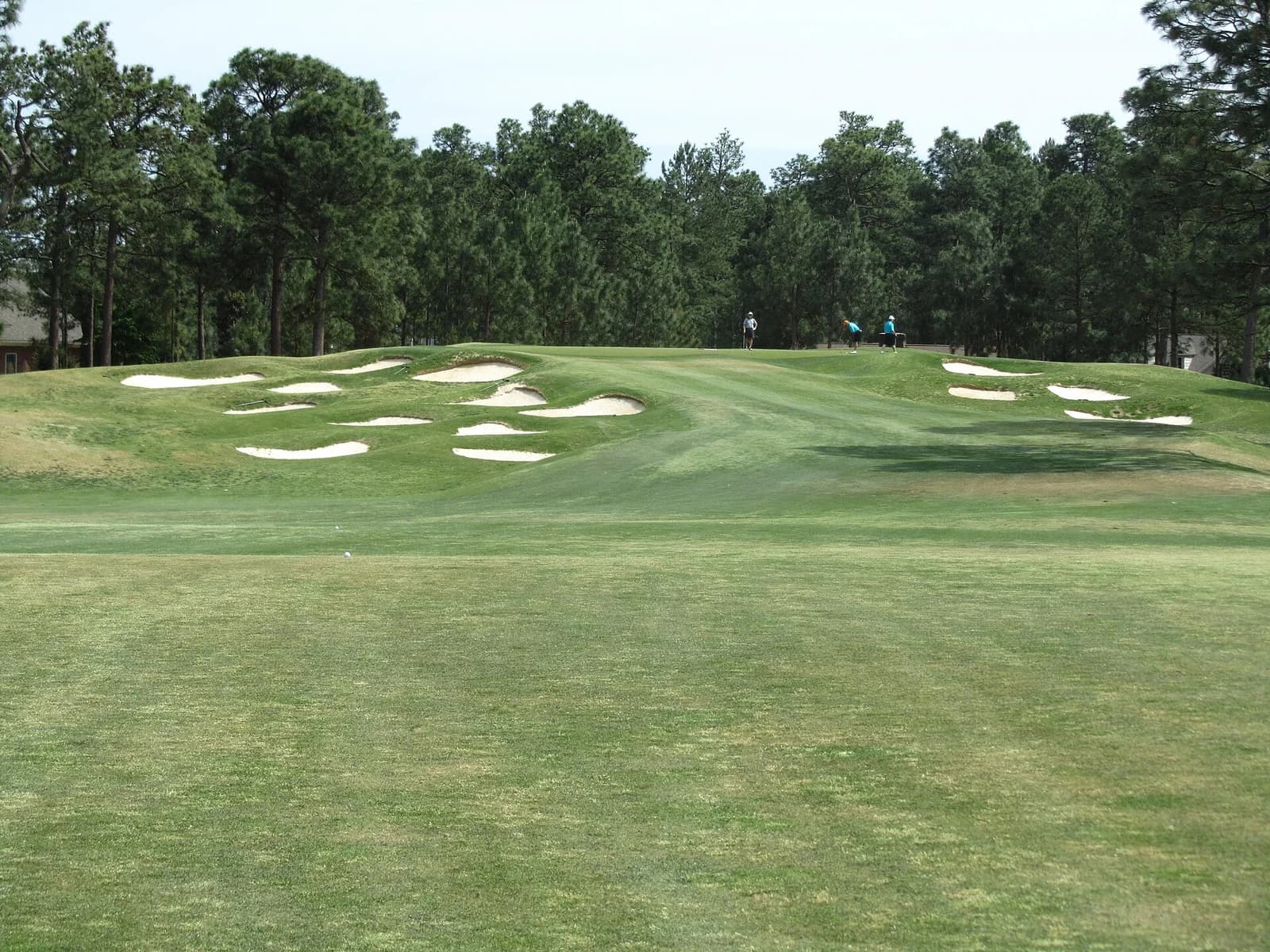 A broad fairway and sandy waste area at Pinehurst No. 4