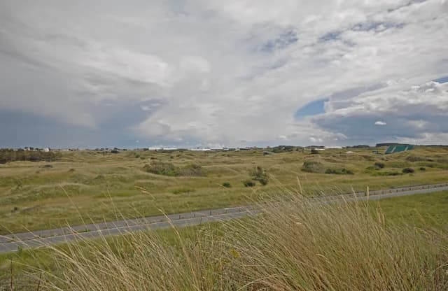 Royal Birkdale Golf Club seen from the surrounding dunes