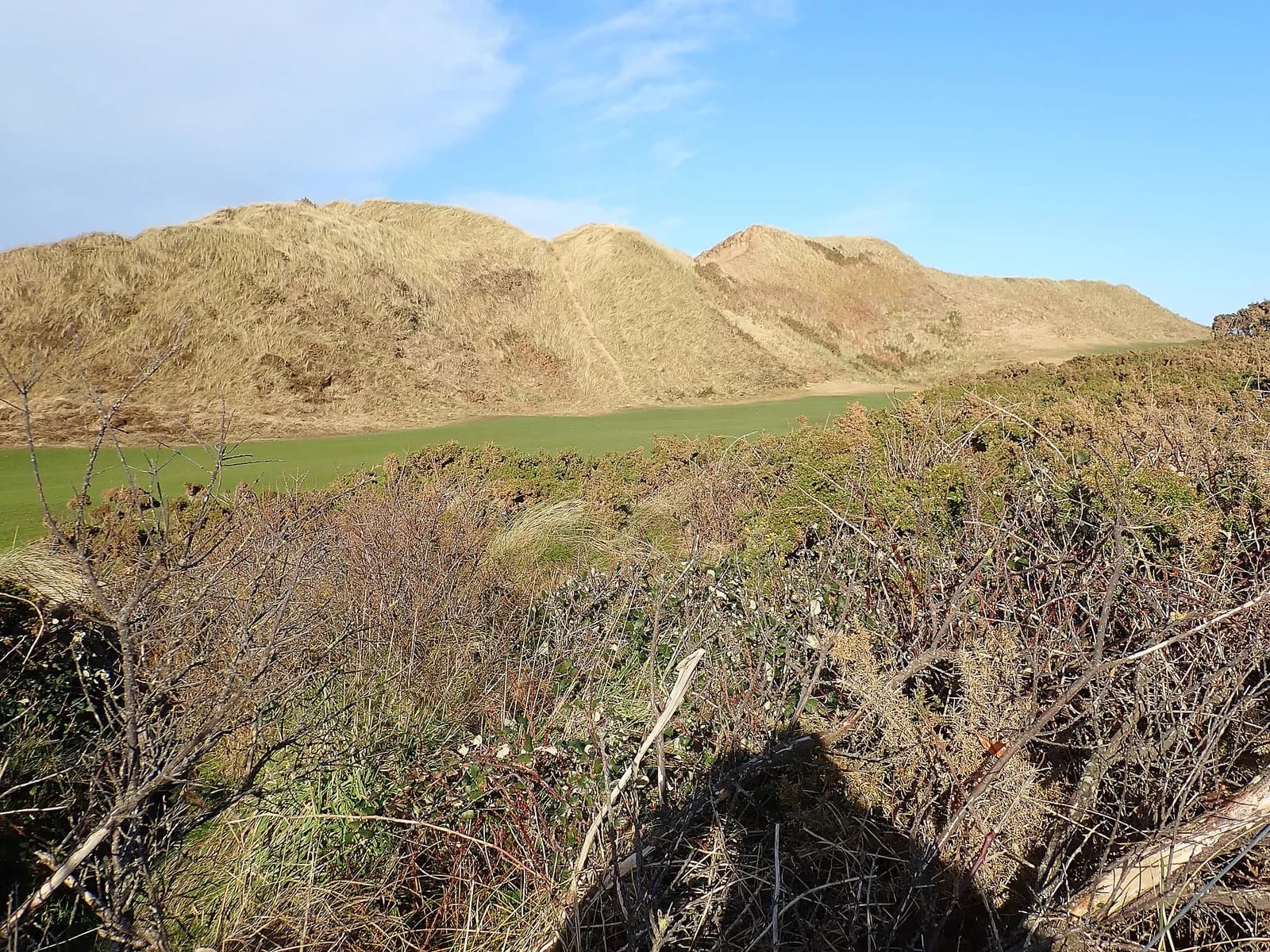 Greens among the dunes at Royal County Down Golf Course