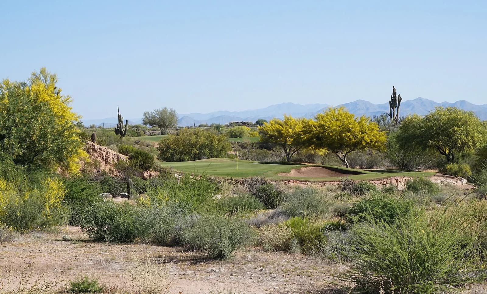 The third hole of We-Ko-Pa Cholla through the Sonoran desert