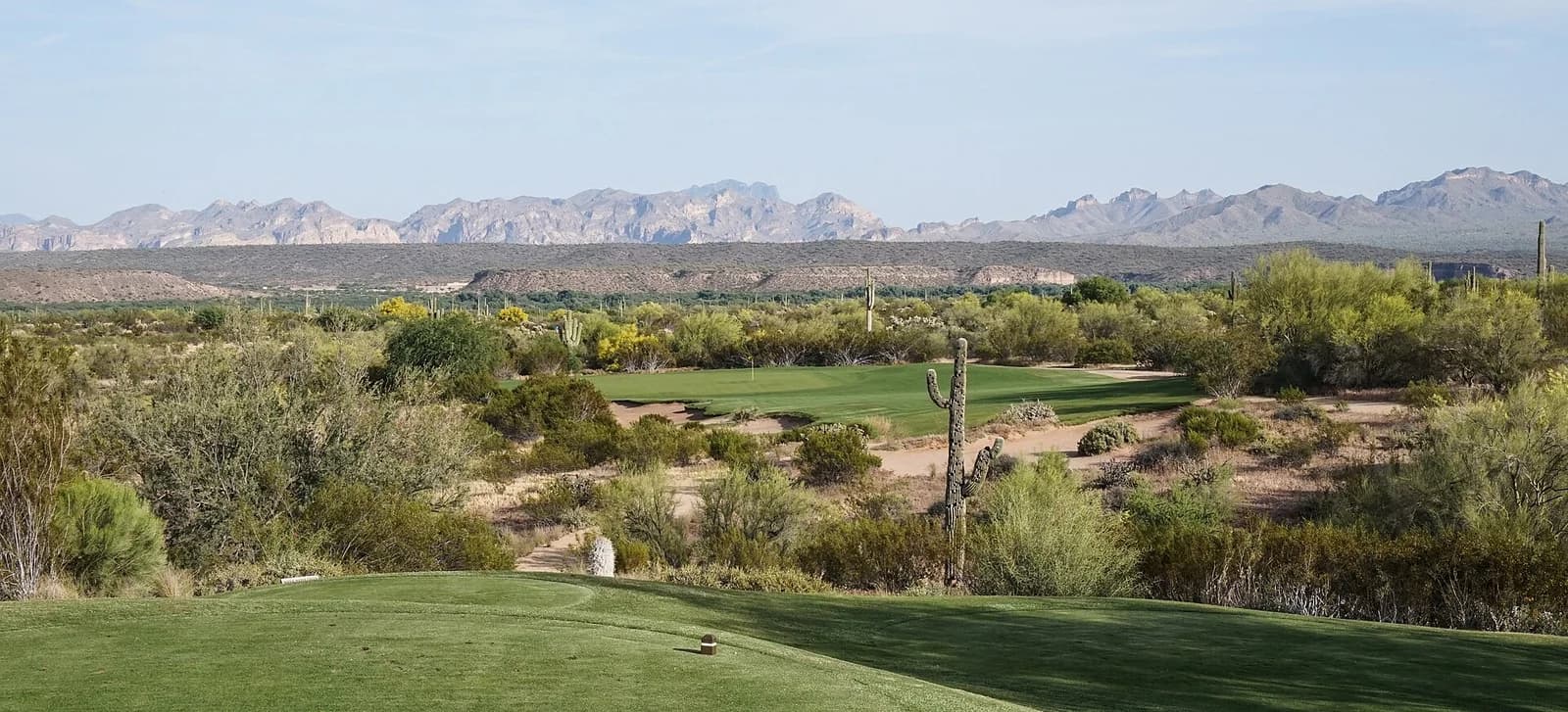 The fifteenth hole of We-Ko-Pa Saguaro across the Sonoran desert