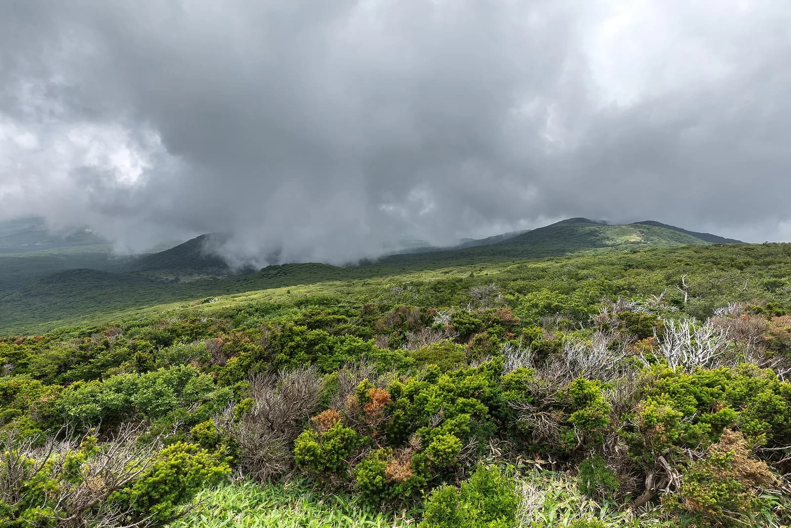 Hallasan National Park on Jeju Island; representative setting, not a photograph of the named golf course