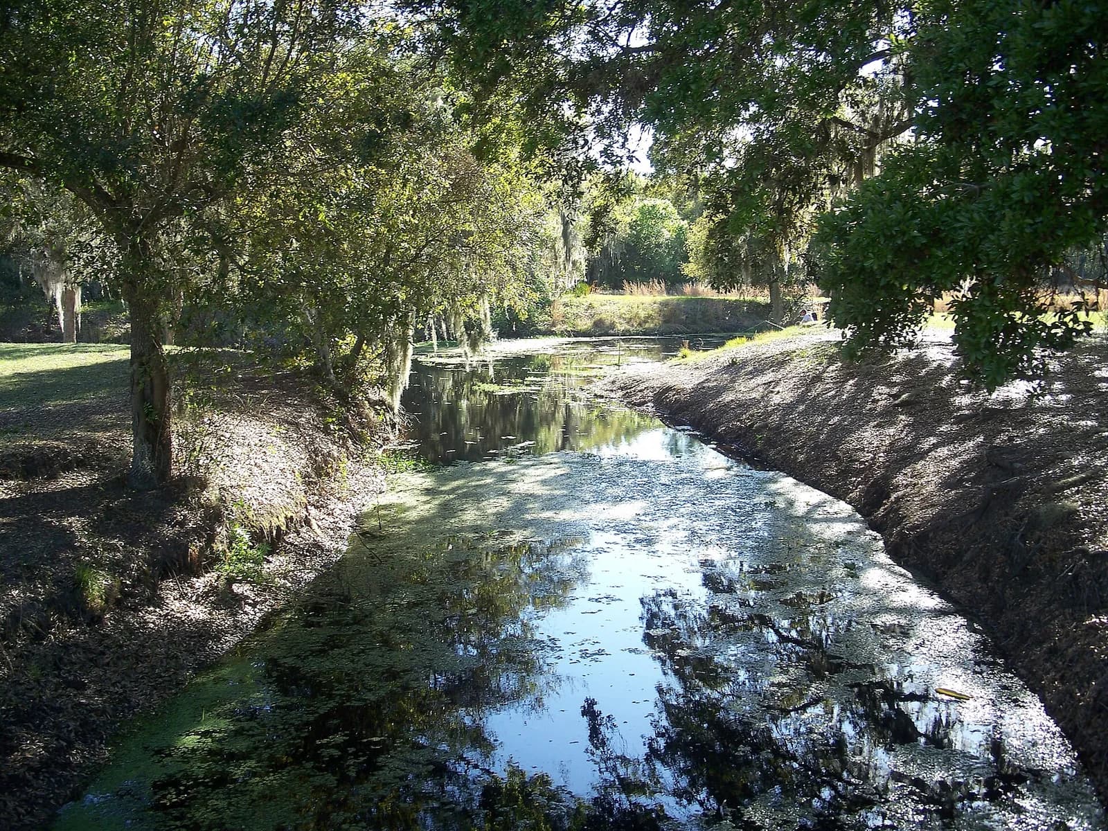 Lake Kissimmee State Park in central Florida; representative setting, not a photograph of the named golf course