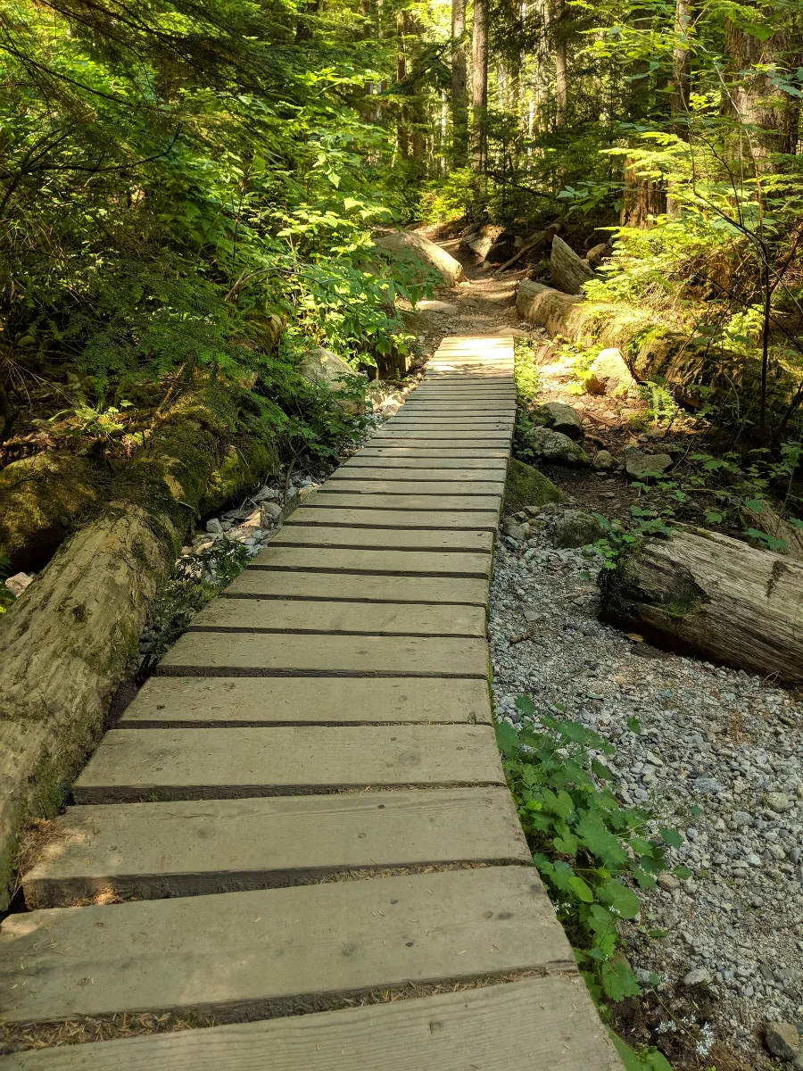 Roadside Attraction trail on Mount Fromme